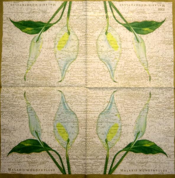 035 Calla - 3-ply